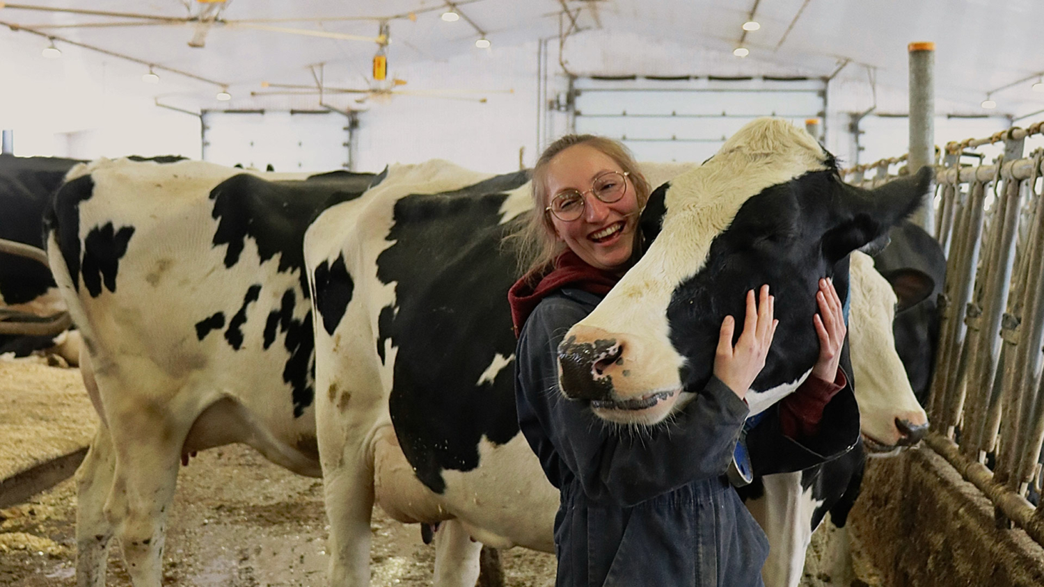 Vache Quebec La Revue Producteurs de Lait du Québec
